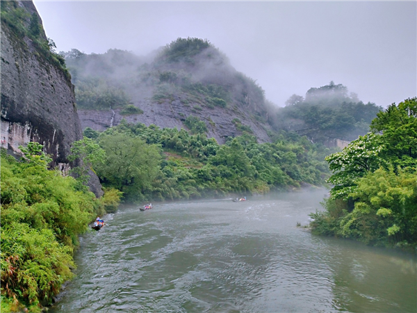 【第八届全国网媒福建行】武夷山：茶韵流芳 花动一山春色