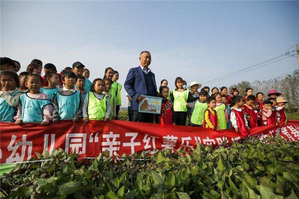 盱眙县仇集中心幼儿园亲子挖红薯活动暨幼儿教育基地揭牌仪式